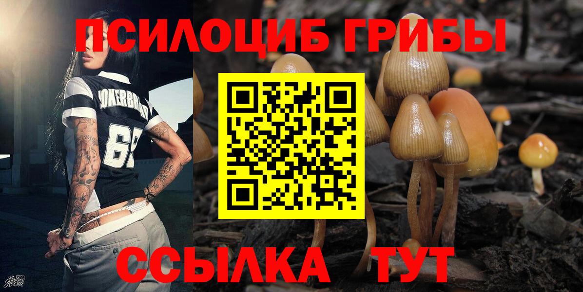 Казань  Псилоцибиновые грибы Psilocybine cubensis  Галлюциногенные грибы ЛСД  цена наркотик  Вход с VPN 